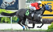 Alan Munro and Potluck score on the Polytrack on Sunday.<br>Photo by Singapore Turf Club